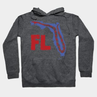 Distressed Florida Gadsden Snake Hoodie